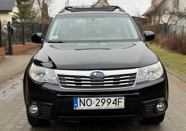 Subaru Forester cena 25900 przebieg: 229648, rok produkcji 2009 z Nidzica małe 781